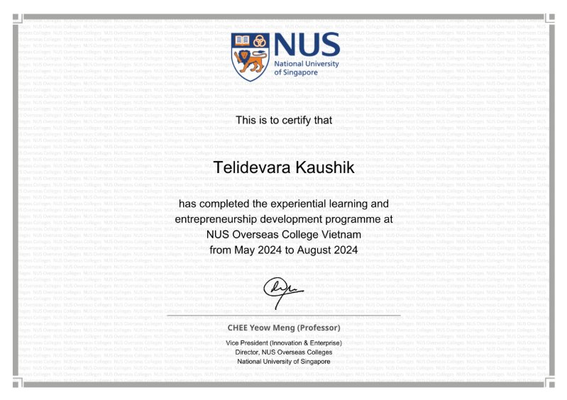NUS Overseas Colleges, Vietnam certificate
